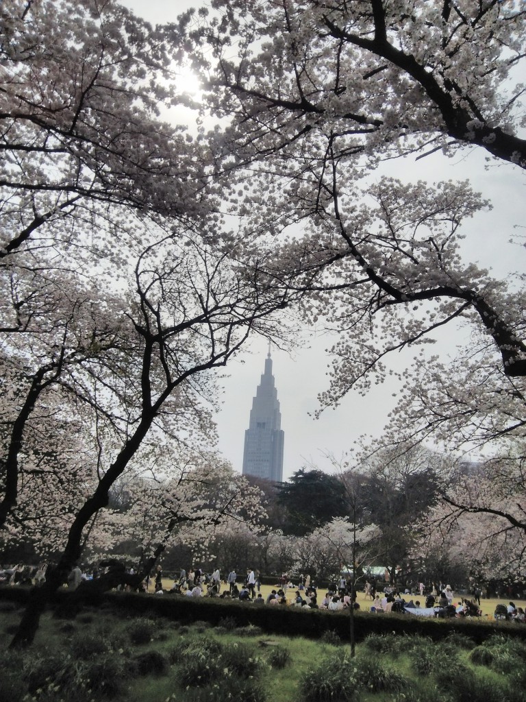 新宿